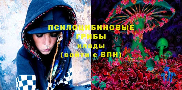 ПСИЛОЦИБИНОВЫЕ ГРИБЫ Зерноград