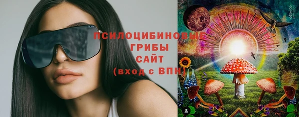 ПСИЛОЦИБИНОВЫЕ ГРИБЫ Зерноград