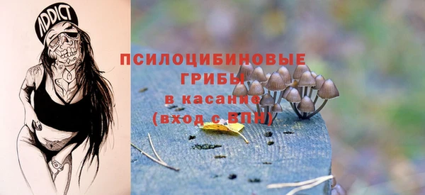 ПСИЛОЦИБИНОВЫЕ ГРИБЫ Зерноград