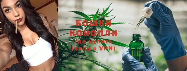 ПСИЛОЦИБИНОВЫЕ ГРИБЫ Зерноград