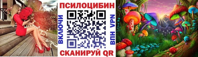 Псилоцибиновые грибы Psilocybe  Купить закладки  Давлеканово 